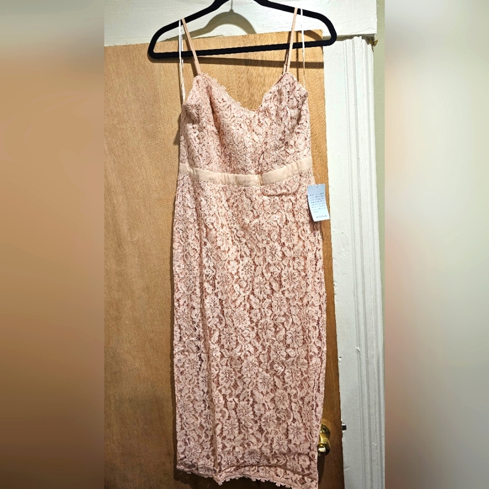 Napean Sea Rd ‐ Eve Lace Midi Dress Strapless.